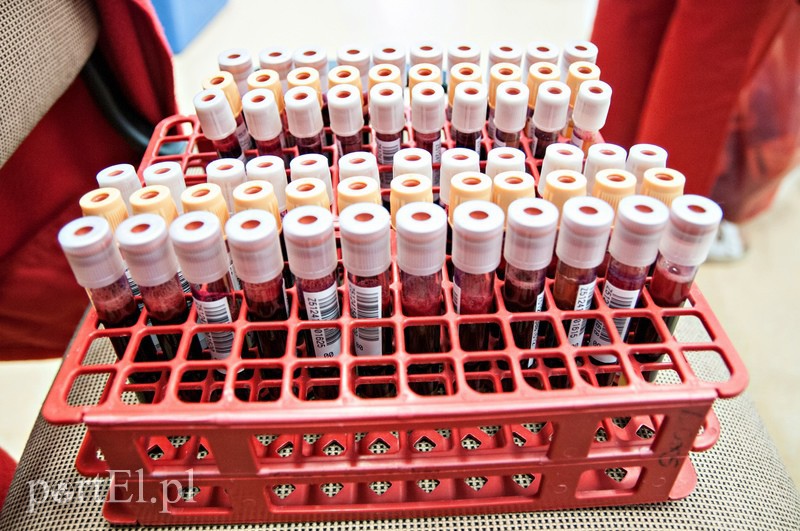 W gastronomiku popłynęły litry krwi zdjęcie nr 102553