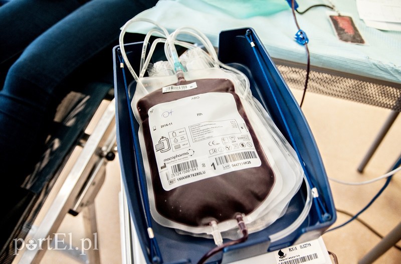 W gastronomiku popłynęły litry krwi zdjęcie nr 102552