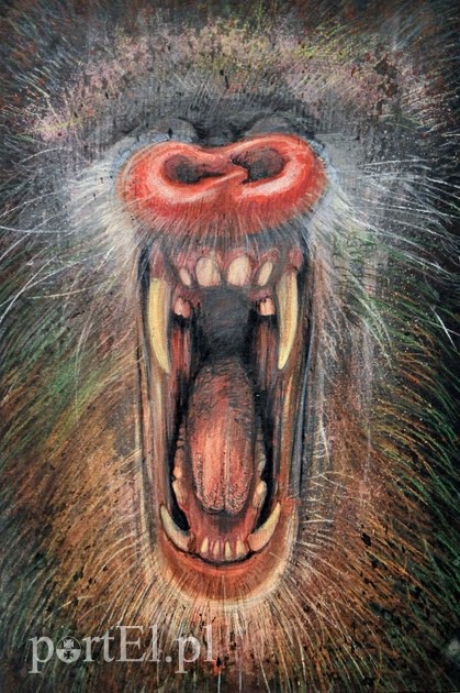 To zmalowali nauczyciele zdjęcie nr 102622