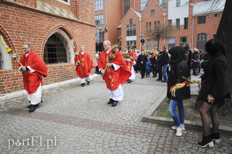 Dziś Niedziela Palmowa zdjęcie nr 103332
