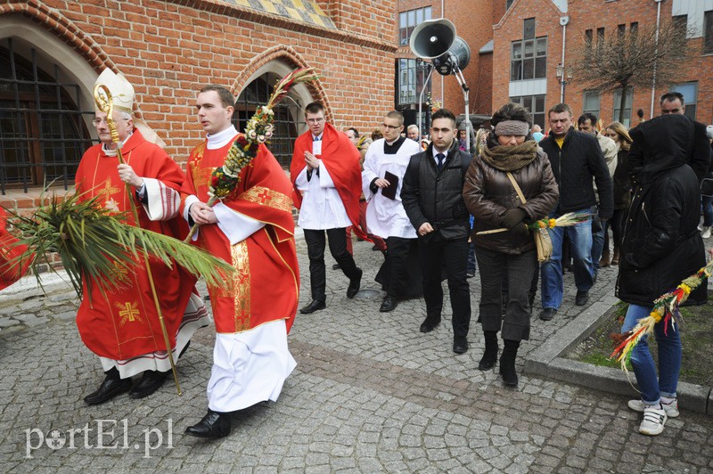 Dziś Niedziela Palmowa zdjęcie nr 103334