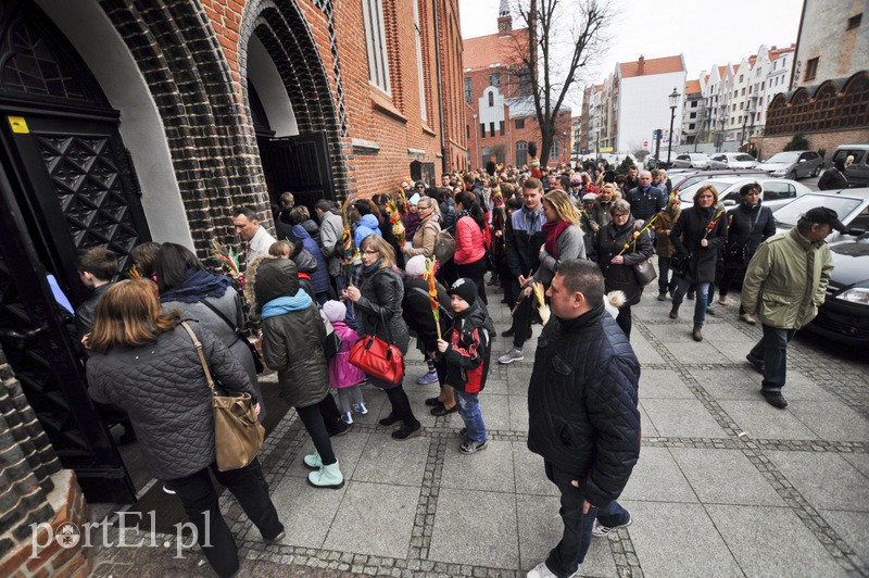 Dziś Niedziela Palmowa zdjęcie nr 103338