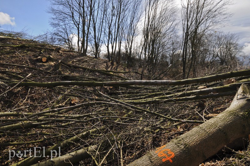 Rusza budowa nowego zakładu na Modrzewinie zdjęcie nr 103555