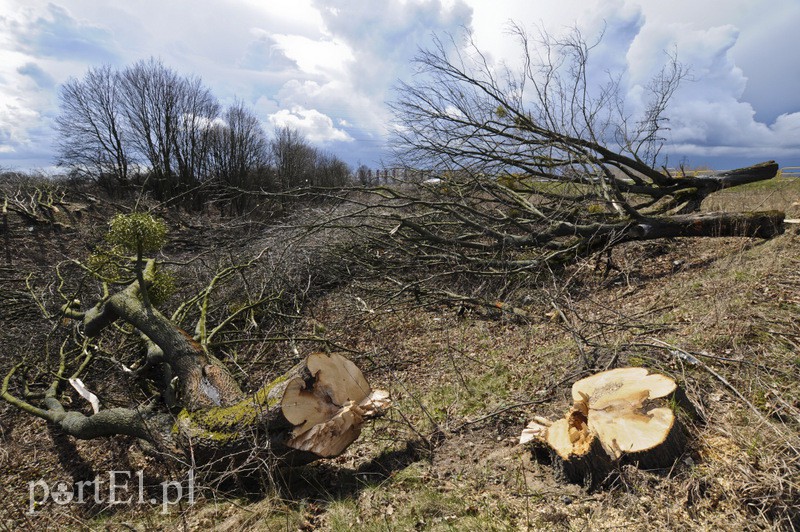 Rusza budowa nowego zakładu na Modrzewinie zdjęcie nr 103557