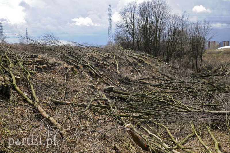 Rusza budowa nowego zakładu na Modrzewinie zdjęcie nr 103559