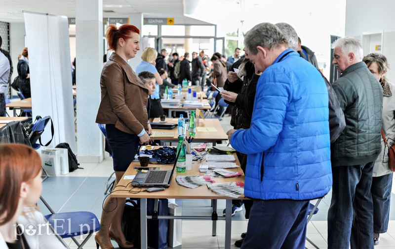 650 ofert na targach pracy zdjęcie nr 103649