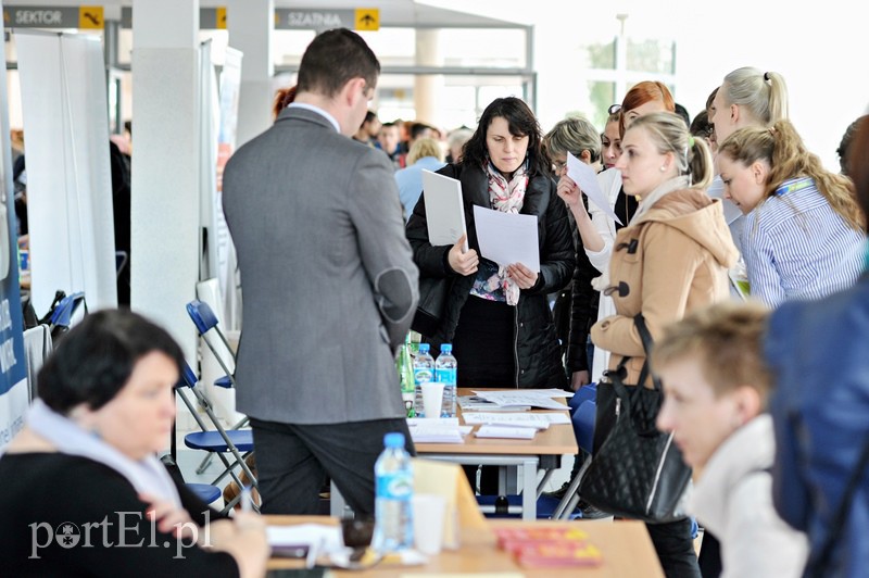 650 ofert na targach pracy zdjęcie nr 103660