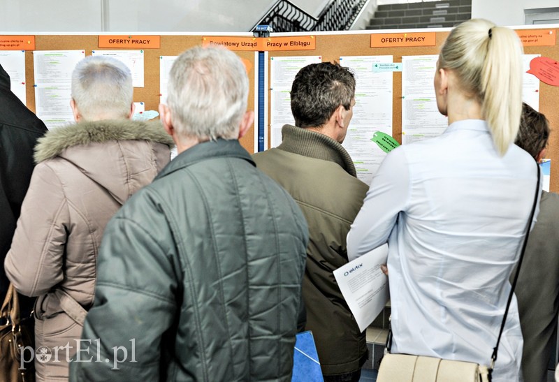 650 ofert na targach pracy zdjęcie nr 103657