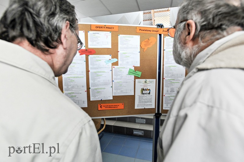 650 ofert na targach pracy zdjęcie nr 103661