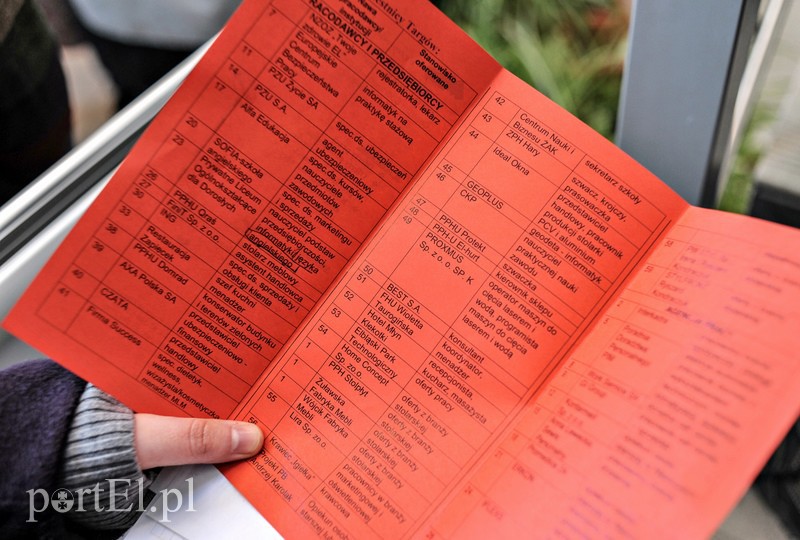 650 ofert na targach pracy zdjęcie nr 103647