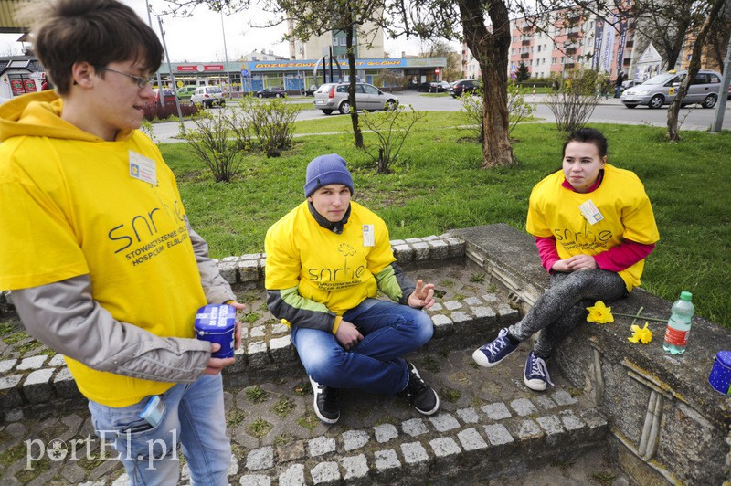 Żółty - kolor nadziei zdjęcie nr 104313