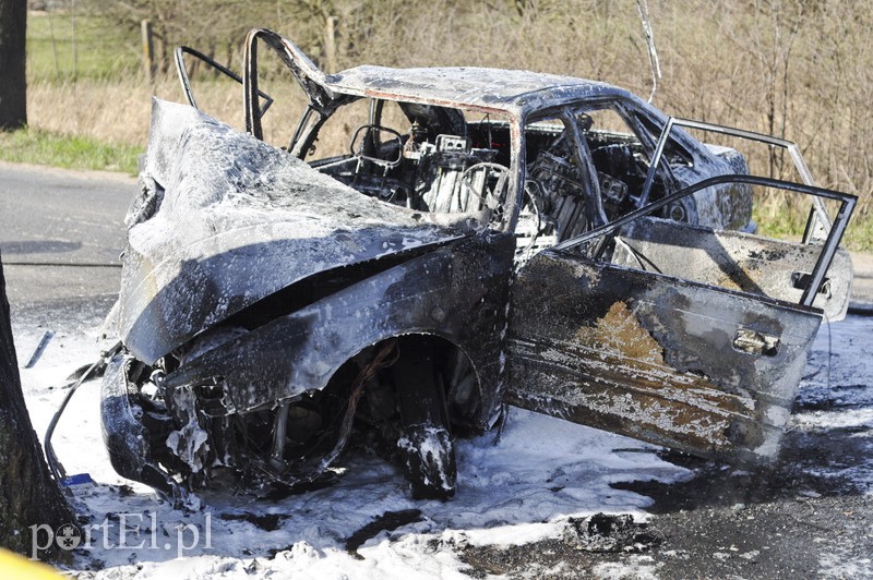  Mazdą uderzył w drzewo. Auto spłonęło zdjęcie nr 104617