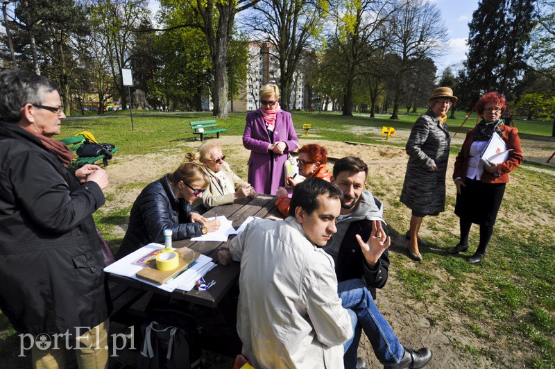 Co należy zmienić w parku Modrzewie zdjęcie nr 104869