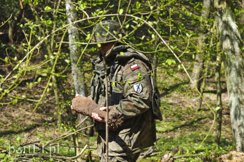 Wycinali drzewa, znaleźli granaty zdjęcie nr 105130