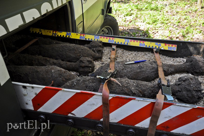 Wycinali drzewa, znaleźli granaty zdjęcie nr 105138