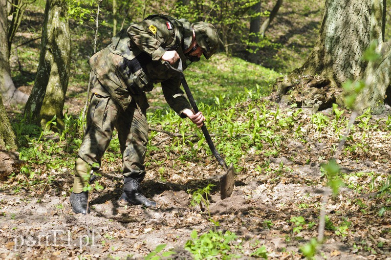 Wycinali drzewa, znaleźli granaty zdjęcie nr 105127