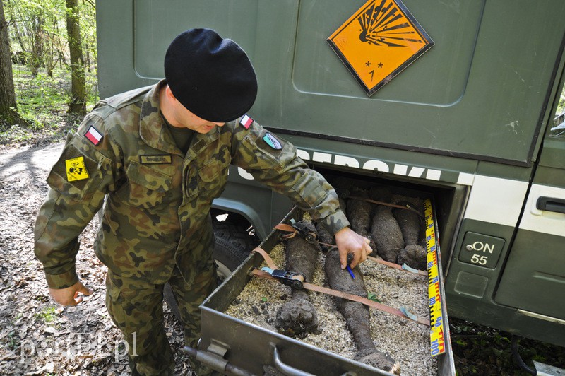 Wycinali drzewa, znaleźli granaty zdjęcie nr 105135