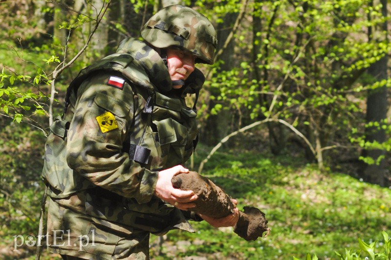 Wycinali drzewa, znaleźli granaty zdjęcie nr 105129