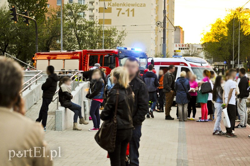 Alarm bombowy w Ogrodach zdjęcie nr 105517