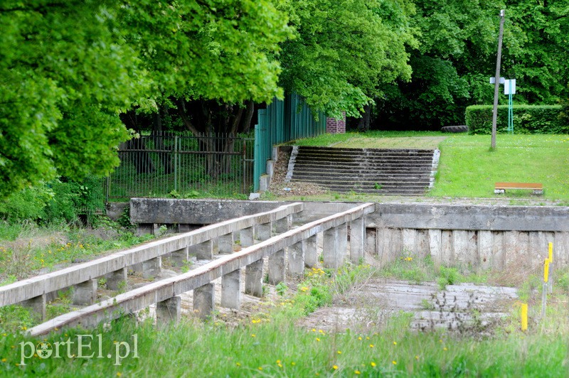 Wycinka na byłym kąpielisku. Reaktywacja? zdjęcie nr 106054