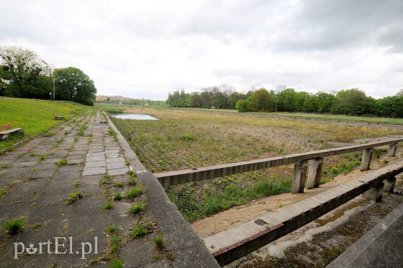 Wycinka na byłym kąpielisku. Reaktywacja? zdjęcie nr 106051