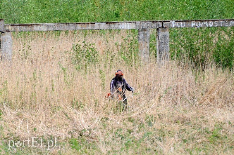 Wycinka na byłym kąpielisku. Reaktywacja? zdjęcie nr 106063