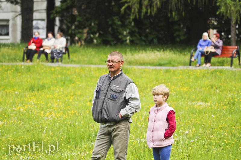 Festyn w parku Modrzewie zdjęcie nr 106356