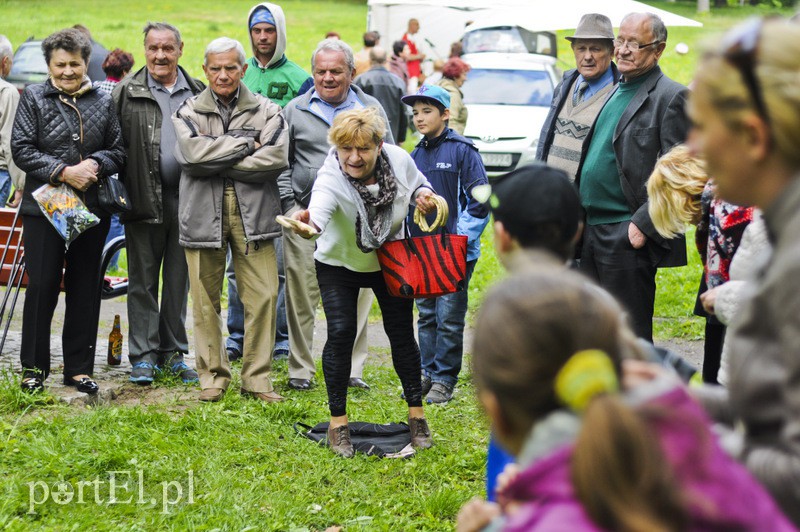 Festyn w parku Modrzewie zdjęcie nr 106352