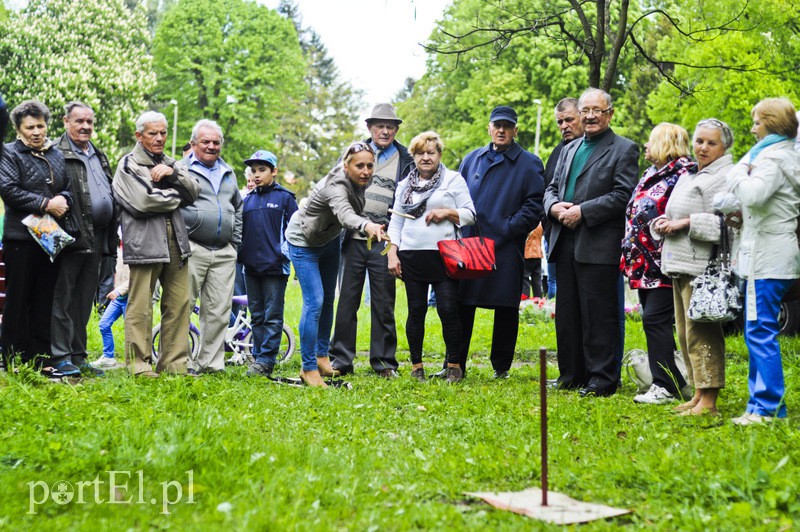 Festyn w parku Modrzewie zdjęcie nr 106351