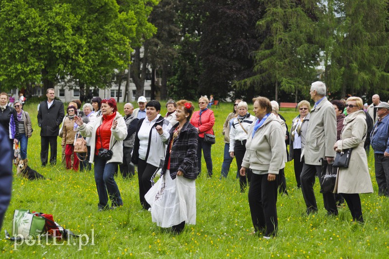 Festyn w parku Modrzewie zdjęcie nr 106345