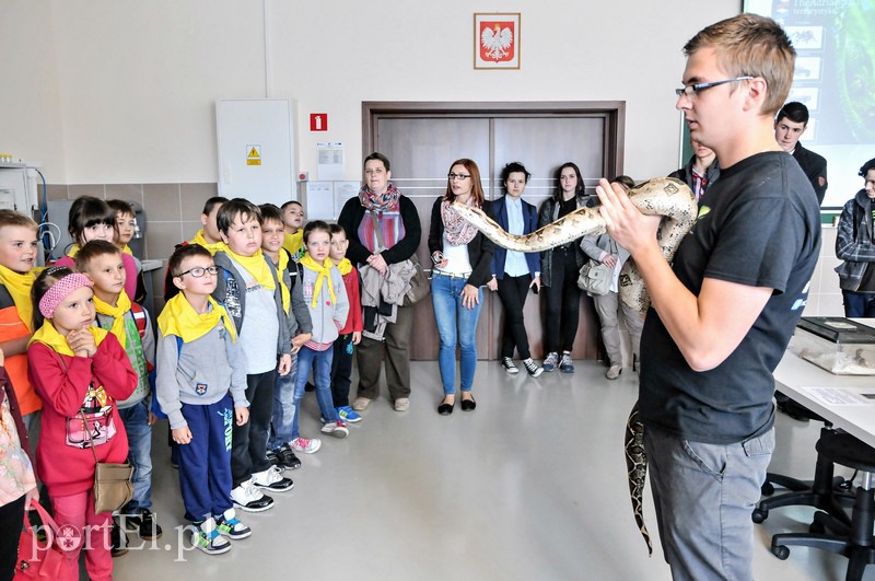 Nauka przez zabawę czyli XIII Bałtycki Festiwal Nauki zdjęcie nr 106658