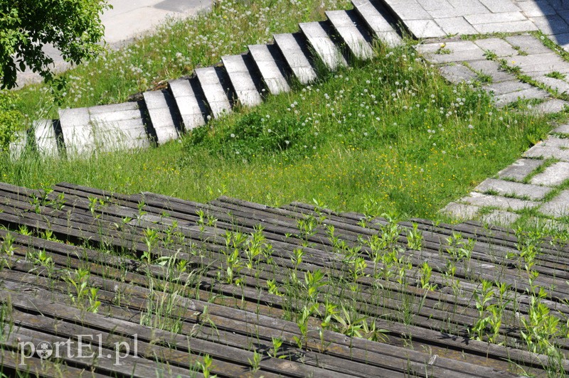 Inspektorzy ocenią, jak bardzo amfiteatr się sypie zdjęcie nr 106682