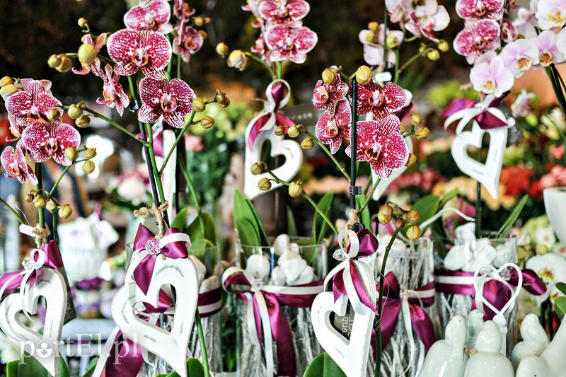  Nie mów - wyraź to gestem zdjęcie nr 106752