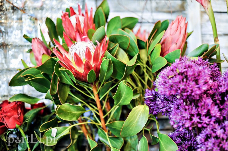  Nie mów - wyraź to gestem zdjęcie nr 106763