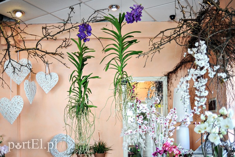  Nie mów - wyraź to gestem zdjęcie nr 106753