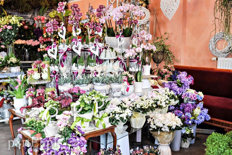  Nie mów - wyraź to gestem zdjęcie nr 106750