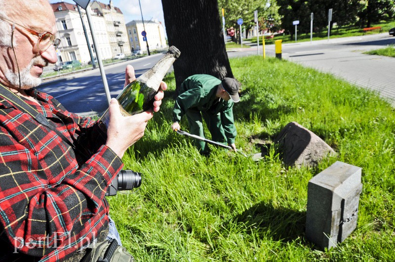 Pomniki przesunięte, skarbów nie znaleziono zdjęcie nr 107342