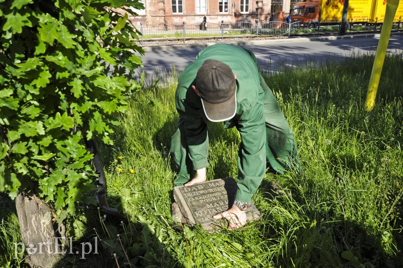 Pomniki przesunięte, skarbów nie znaleziono zdjęcie nr 107337