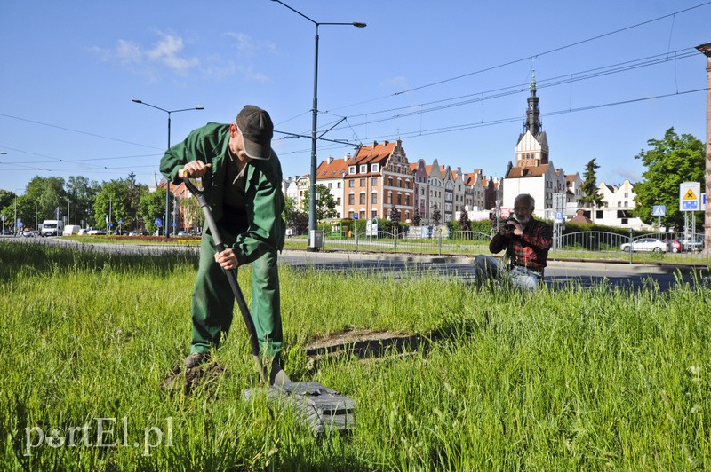 Pomniki przesunięte, skarbów nie znaleziono zdjęcie nr 107338