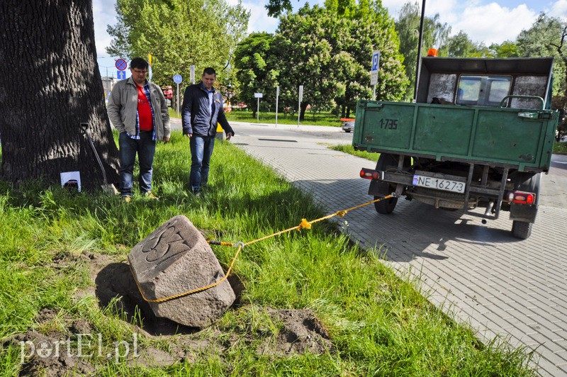 Pomniki przesunięte, skarbów nie znaleziono zdjęcie nr 107346