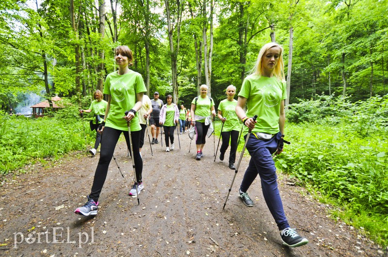  Maszerowali z kijkami aż miło zdjęcie nr 107623