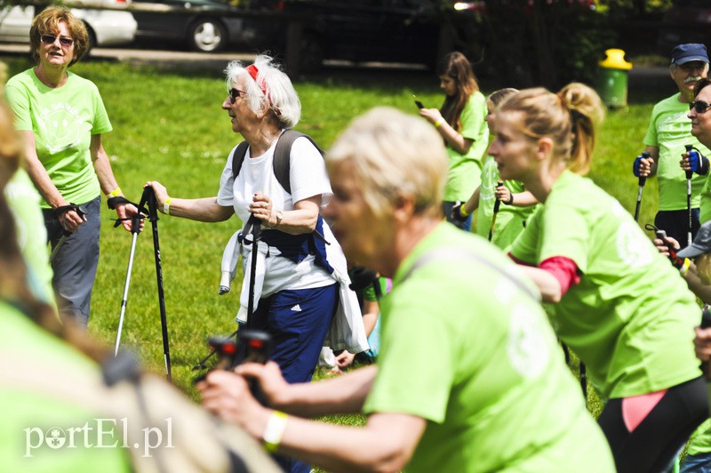  Maszerowali z kijkami aż miło zdjęcie nr 107603