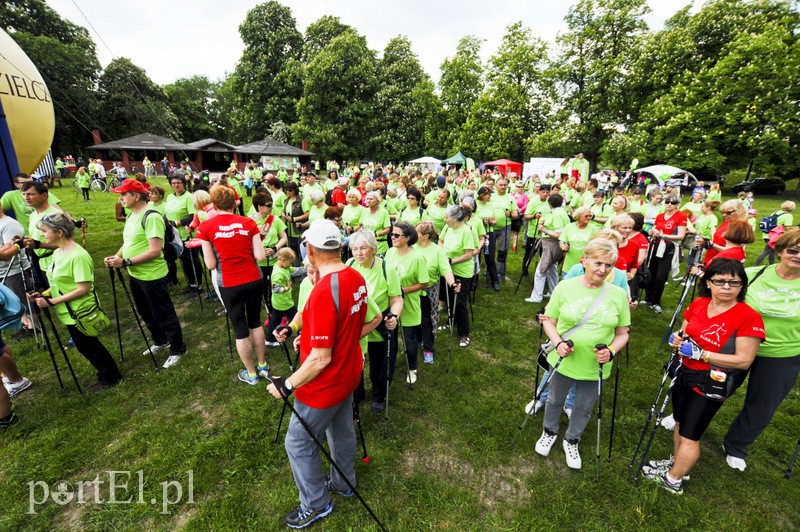  Maszerowali z kijkami aż miło zdjęcie nr 107613