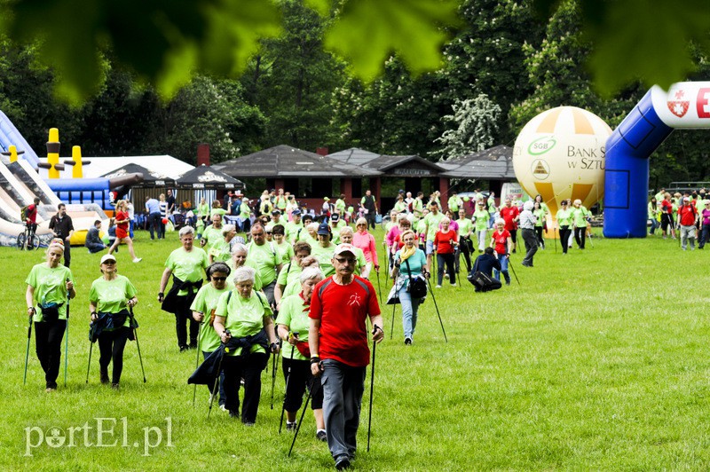  Maszerowali z kijkami aż miło zdjęcie nr 107617