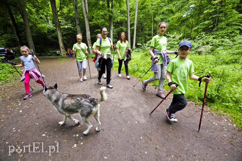  Maszerowali z kijkami aż miło zdjęcie nr 107626