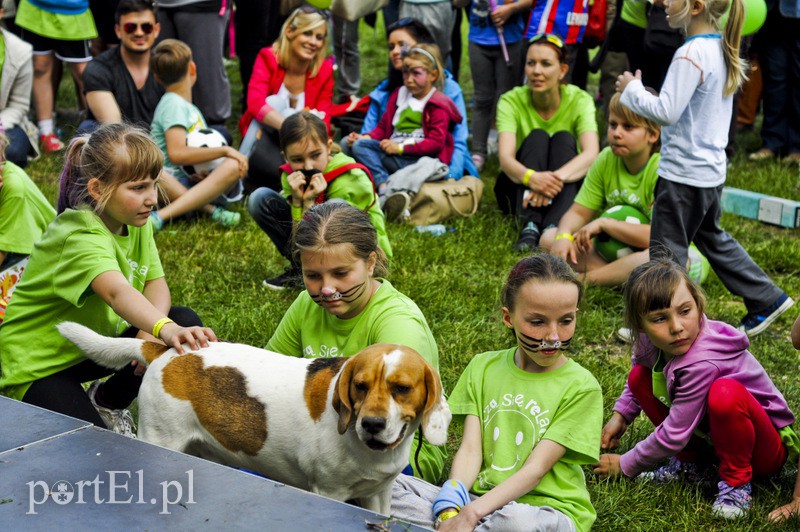 Maszerowali z kijkami aż miło zdjęcie nr 107654