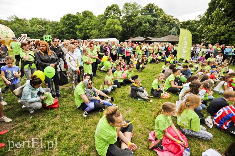  Maszerowali z kijkami aż miło zdjęcie nr 107640