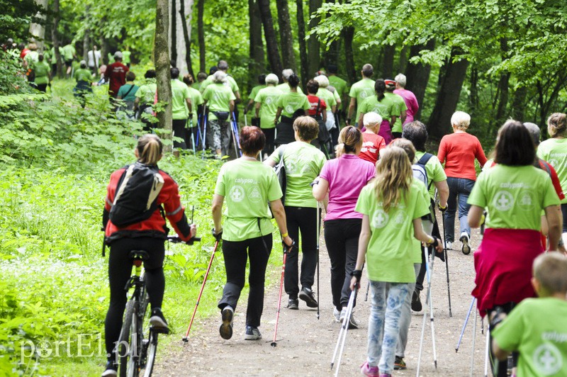  Maszerowali z kijkami aż miło zdjęcie nr 107620