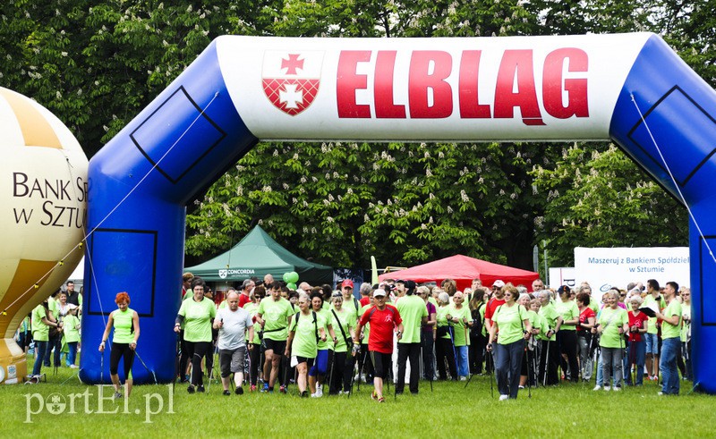  Maszerowali z kijkami aż miło zdjęcie nr 107614