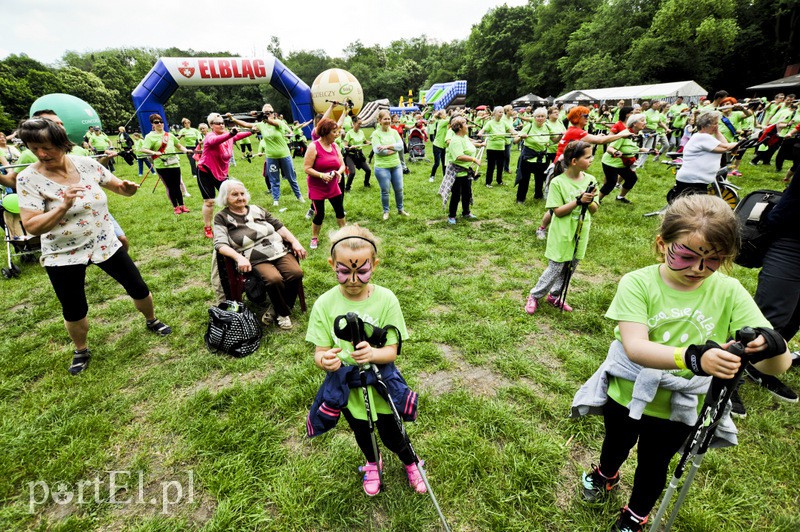  Maszerowali z kijkami aż miło zdjęcie nr 107606